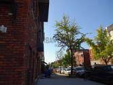 Apartment Williamsburg - Building