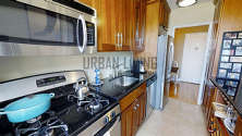 Modern residence Forest Hill - Kitchen