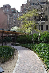 Appartamento Turtle Bay