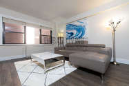 Wohnung Lenox Hill - Wohnzimmer