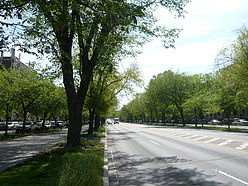 Appartamento Prospect Heights