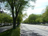 Appartamento Prospect Heights - Edificio