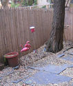 Duplex Greenwich Village - Garten