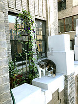 Loft Chelsea - Terraça