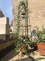 Loft Chelsea - Terrace