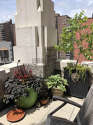 Loft Chelsea - Terrace