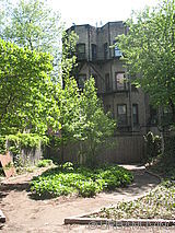 casa Clinton Hill - Jardín