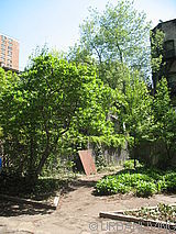 Maison individuelle Clinton Hill - Jardin
