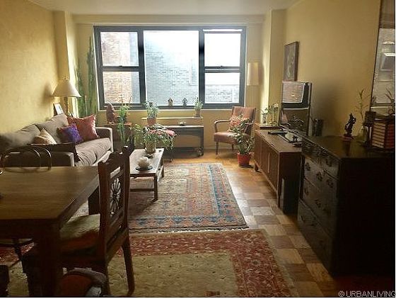 New York East 14th Street Monthly Furnished Al 1 Bedroom Living Room
