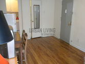 公寓 Upper West Side - 客厅