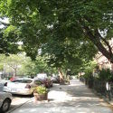 House Bedford Stuyvesant - Building