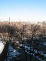 Appartement Brooklyn Heights - Immeuble