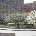 Apartment Battery Park City - Building