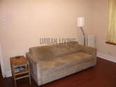 Apartment Harlem - Living room