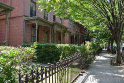 家 Harlem