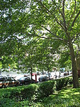 Apartamento Upper West Side