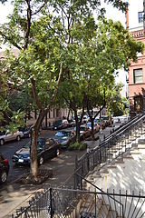 Maison individuelle Harlem