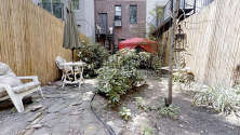 Haus Harlem - Garten