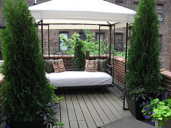 Maison de ville Hamilton Heights - Terrasse