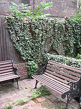 casa Upper West Side - Jardín