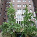 Appartement Murray Hill - Immeuble