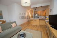 Townhouse Hamilton Heights - 客厅