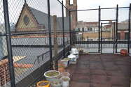 Appartement Harlem - Immeuble