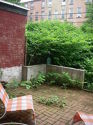 House Bedford Stuyvesant - Yard