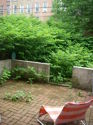 House Bedford Stuyvesant - Yard