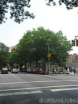 Maison individuelle Fort Greene