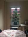duplex Upper West Side - Cucina