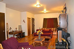 Townhouse Crown Heights - 客厅