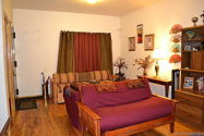 Townhouse Crown Heights - 客厅