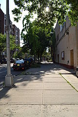 Duplex Crown Heights
