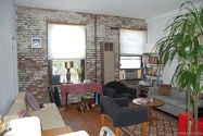 公寓 Williamsburg - 客厅