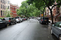 Haus Stuyvesant Heights