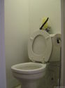 Triplex East New York - Toilet