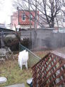 Triplex East New York - Yard