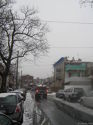 Appartamento Dyker Heights - Edificio