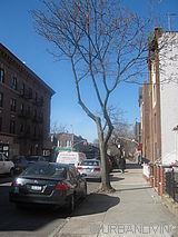 Apartment Bay Ridge