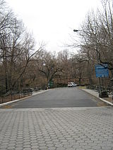 Apartment Harlem