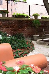 Casa Hamilton Heights - Jardim