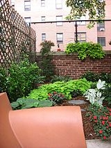 Haus Hamilton Heights - Garten