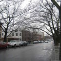 Apartment Bay Ridge - Building
