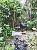 Haus Bedford Stuyvesant - Garten