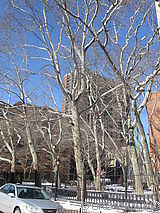 Apartment Harlem