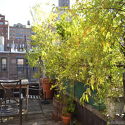 Wohnung Upper West Side - Terasse
