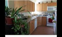 Apartment Harlem - Kitchen