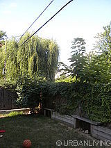 House Ditmas Park - Yard