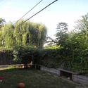 House Ditmas Park - Yard